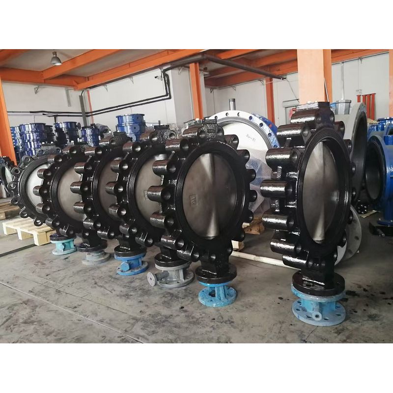 Lug Type Wafer Butterfly Valve